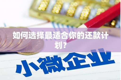 北部新区如何选择最适合你的还款计划？