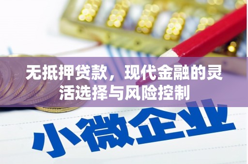 北部新区无抵押贷款，现代金融的灵活选择与风险控制