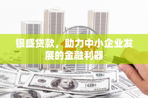 北部新区银盛贷款，助力中小企业发展的金融利器