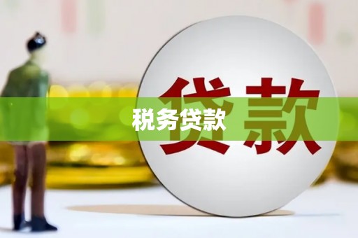 北部新区税务贷款