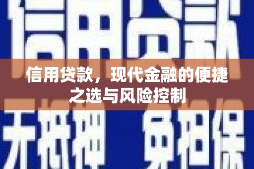 北部新区信用贷款，现代金融的便捷之选与风险控制