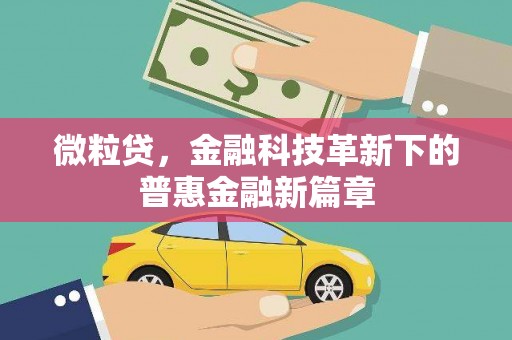 北部新区微粒贷，金融科技革新下的普惠金融新篇章