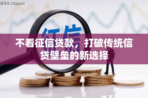 北部新区不看征信贷款，打破传统信贷壁垒的新选择