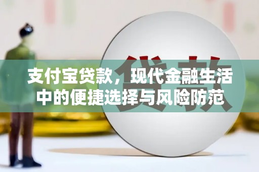 北部新区支付宝贷款，现代金融生活中的便捷选择与风险防范
