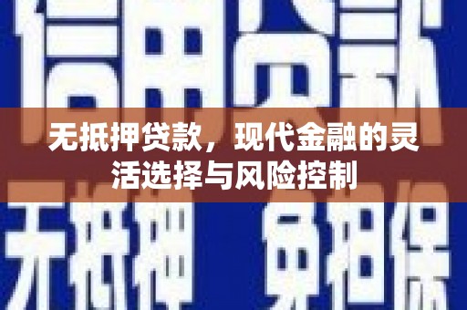 北部新区无抵押贷款，现代金融的灵活选择与风险控制
