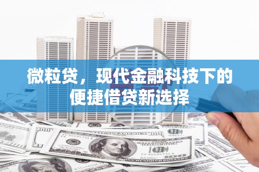 北部新区微粒贷，现代金融科技下的便捷借贷新选择
