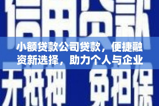 北部新区小额贷款公司贷款，便捷融资新选择，助力个人与企业成长