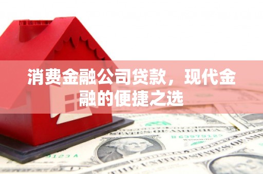 北部新区消费金融公司贷款，现代金融的便捷之选