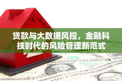 北部新区贷款与大数据风控，金融科技时代的风险管理新范式