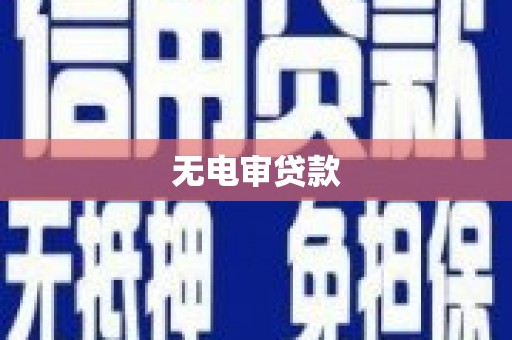 北部新区无电审贷款