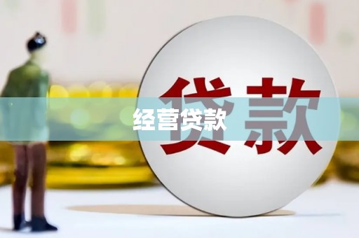 北部新区经营贷款