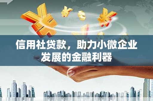 北部新区信用社贷款，助力小微企业发展的金融利器