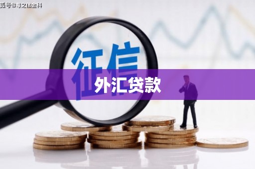 北部新区外汇贷款