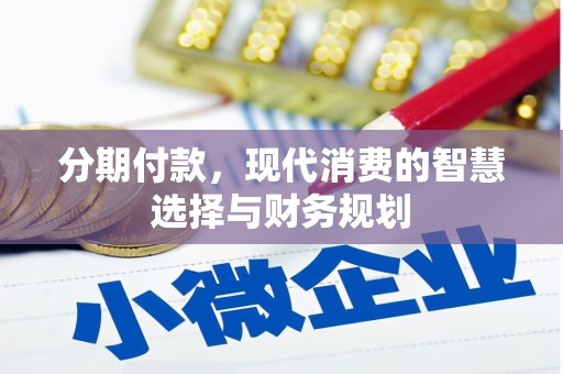 北部新区分期付款，现代消费的智慧选择与财务规划