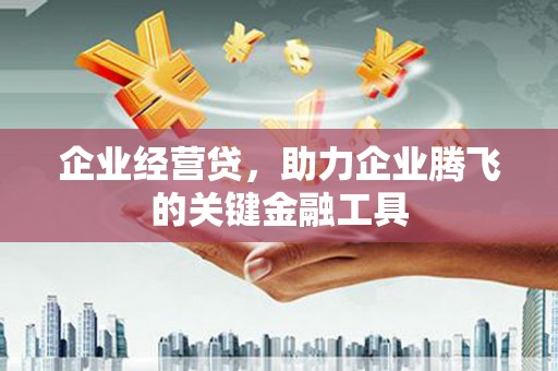 北部新区企业经营贷，助力企业腾飞的关键金融工具