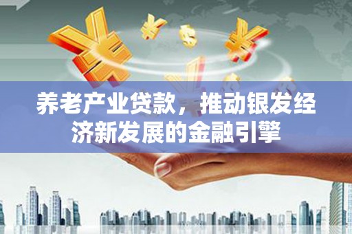 北部新区养老产业贷款，推动银发经济新发展的金融引擎