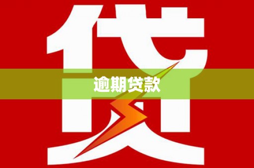北部新区逾期贷款