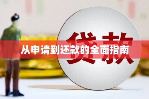 北部新区从申请到还款的全面指南