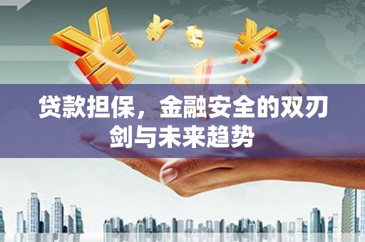 北部新区贷款担保，金融安全的双刃剑与未来趋势