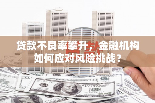 北部新区贷款不良率攀升，金融机构如何应对风险挑战？