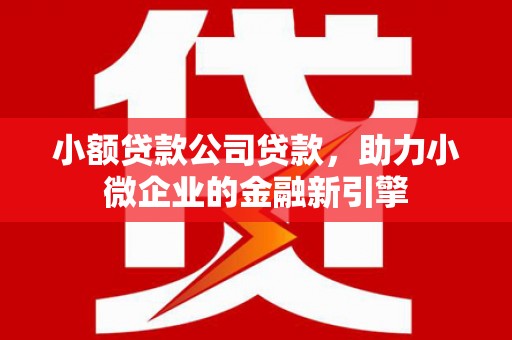 北部新区小额贷款公司贷款，助力小微企业的金融新引擎