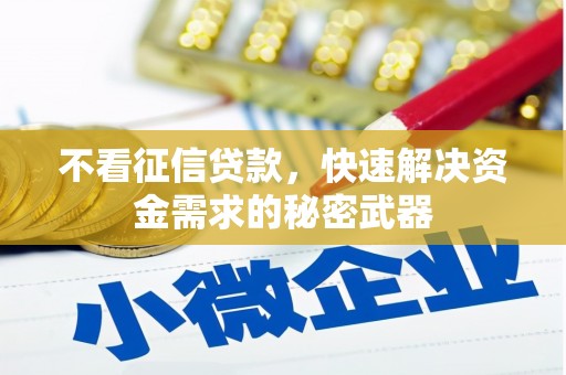 北部新区不看征信贷款，快速解决资金需求的秘密武器