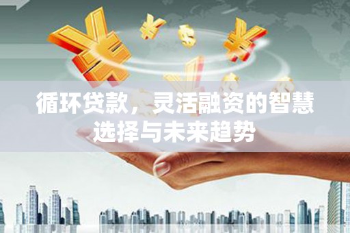 北部新区循环贷款，灵活融资的智慧选择与未来趋势