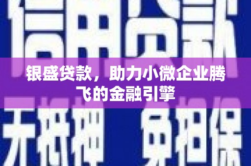 北部新区银盛贷款，助力小微企业腾飞的金融引擎