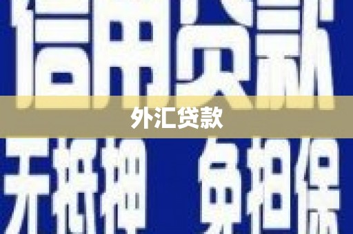 北部新区外汇贷款