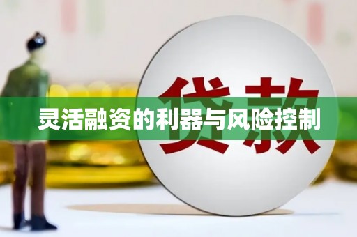 北部新区灵活融资的利器与风险控制