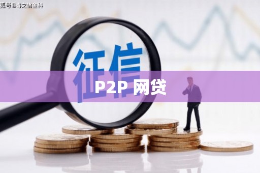 北部新区P2P 网贷