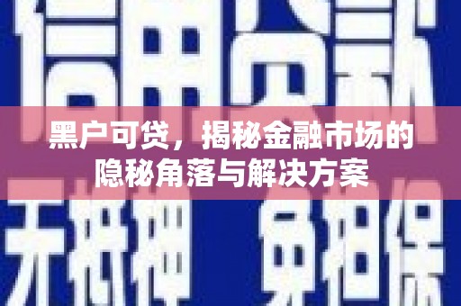 北部新区黑户可贷，揭秘金融市场的隐秘角落与解决方案