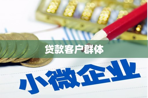 北部新区贷款客户群体