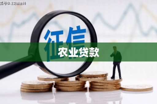 北部新区农业贷款