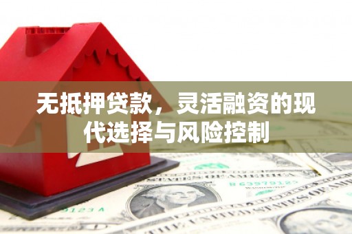 北部新区无抵押贷款，灵活融资的现代选择与风险控制
