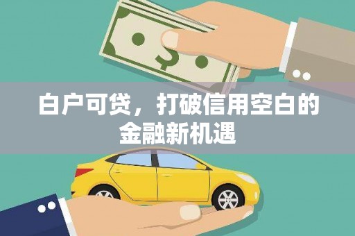 北部新区白户可贷，打破信用空白的金融新机遇