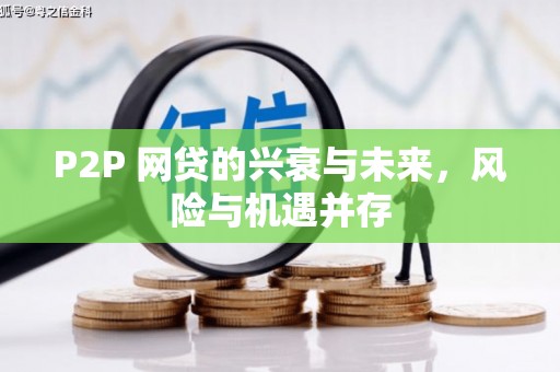 北部新区P2P 网贷的兴衰与未来，风险与机遇并存