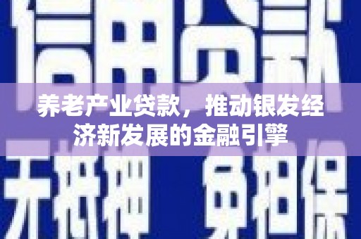 北部新区养老产业贷款，推动银发经济新发展的金融引擎