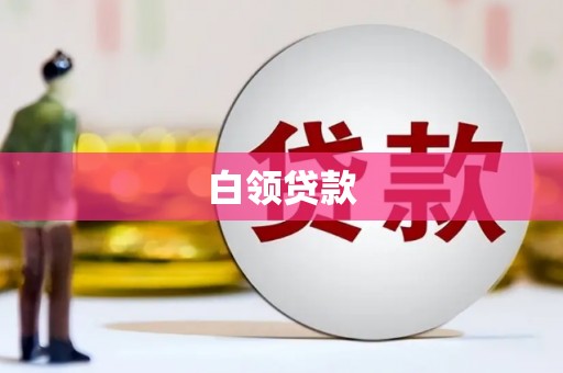 北部新区白领贷款