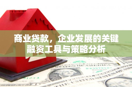北部新区商业贷款，企业发展的关键融资工具与策略分析