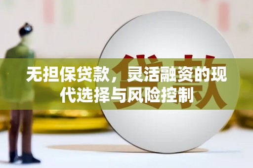 北部新区无担保贷款，灵活融资的现代选择与风险控制