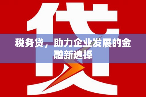 北部新区税务贷，助力企业发展的金融新选择