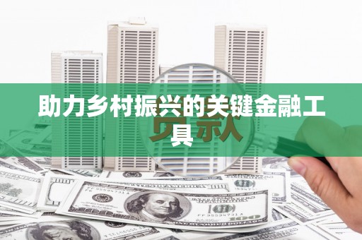 北部新区助力乡村振兴的关键金融工具
