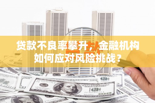 北部新区贷款不良率攀升，金融机构如何应对风险挑战？