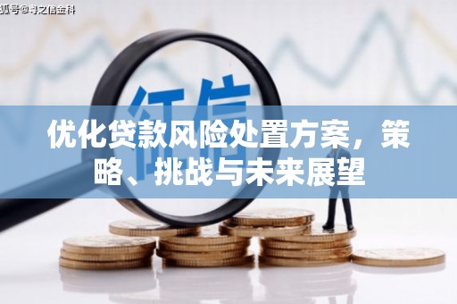 北部新区优化贷款风险处置方案，策略、挑战与未来展望