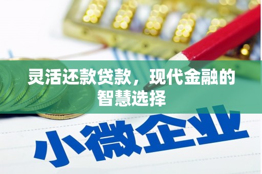 北部新区灵活还款贷款，现代金融的智慧选择