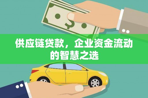 北部新区供应链贷款，企业资金流动的智慧之选