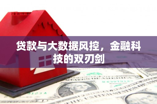 北部新区贷款与大数据风控，金融科技的双刃剑