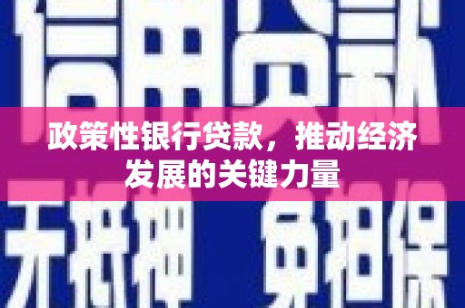 北部新区政策性银行贷款，推动经济发展的关键力量