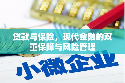 北部新区贷款与保险，现代金融的双重保障与风险管理